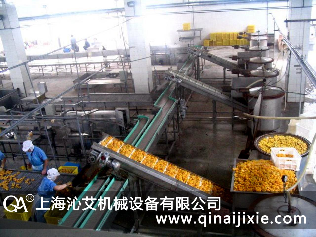 塑鋼鏈板輸送機在黃桃罐頭食品企業(yè)得到客戶的認(rèn)可 塑鋼鏈板輸送機在黃桃罐頭食品企業(yè)得到客戶的認(rèn)可